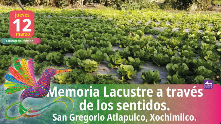 BannerPaseos culturales INAH